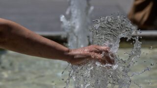 ΜΙΧΑΛΗΣ ΠΑΠΑΝΙΚΟΛΑΟΥ