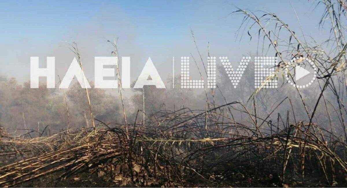 Ηλεία: Φωτιά με δύο ενεργές εστίες στην περιοχή Καλύβια – Επιχειρούν 42 πυροσβέστες με 17 οχήματα