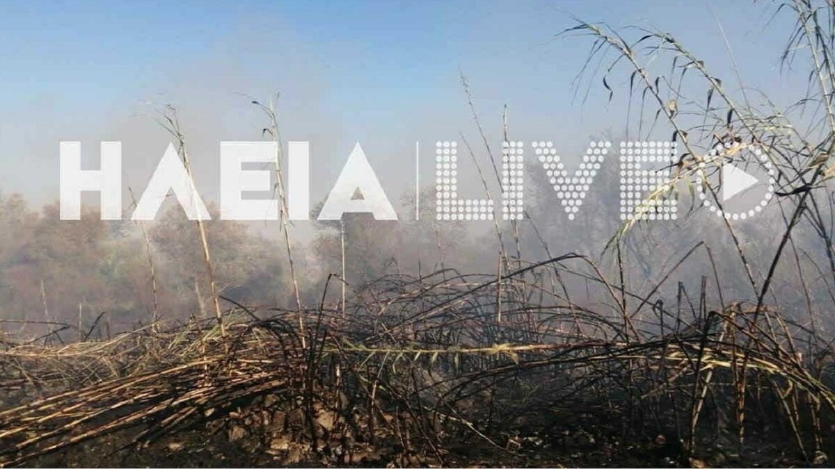 Ηλεία: Φωτιά με δύο ενεργές εστίες στην περιοχή Καλύβια – Επιχειρούν 42 πυροσβέστες με 17 οχήματα