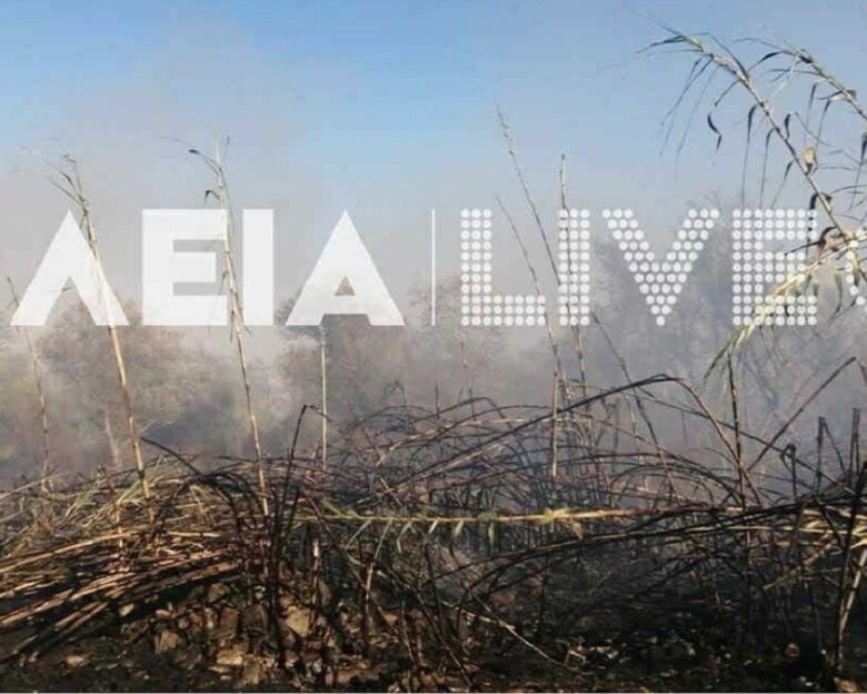 Ηλεία: Φωτιά με δύο ενεργές εστίες στην περιοχή Καλύβια – Επιχειρούν 42 πυροσβέστες με 17 οχήματα