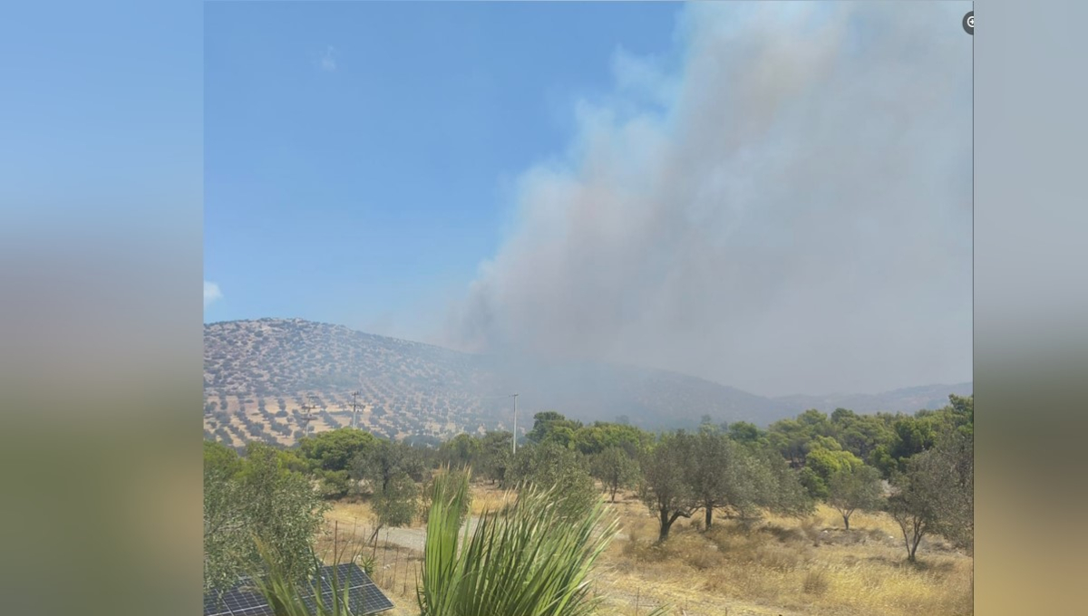 Φωτιά στη Κερατέα στην περιοχή Τογάνι
