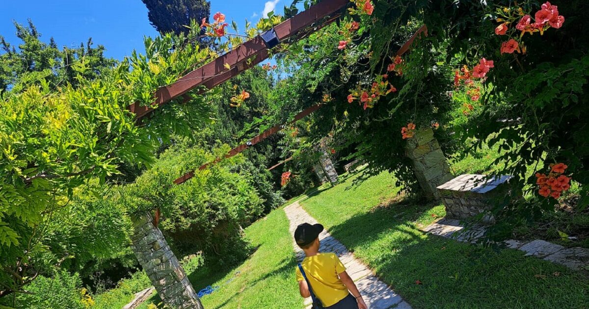 The Diomedes Botanical Garden resembles earthly paradise in the city and is just 10 kilometers from downtown Athens