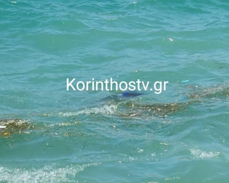 Κόρινθος: Οδηγός έπεσε με το αυτοκίνητό του στη θάλασσα – Ανασύρθηκε χωρίς τις αισθήσεις του, τραυματίστηκε αστυνομικός