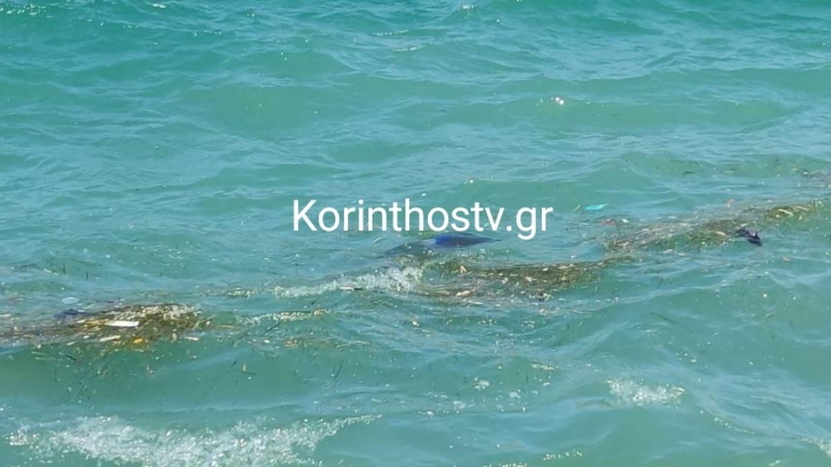 Θάλασσα