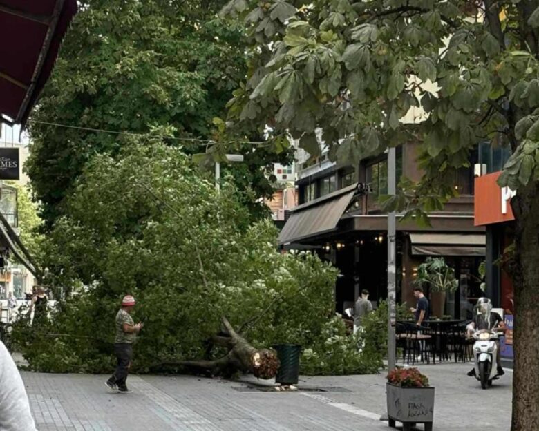 Ισχυροί άνεμοι πλήττουν τη Δυτική Ελλάδα – Φωτιές, πτώσεις δέντρων ενώ ξεριζώθηκαν ακόμη και κάγκελα στην Κοζάνη