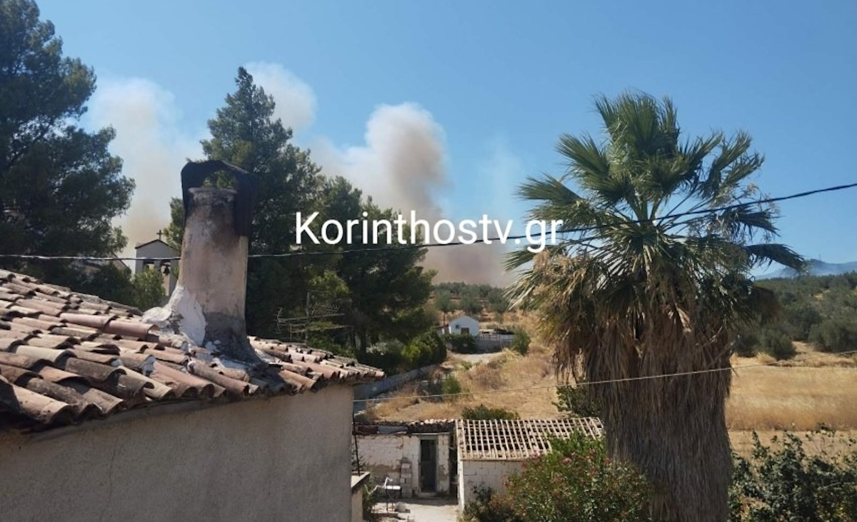 Φωτιά στην Αρχαία Νεμέα