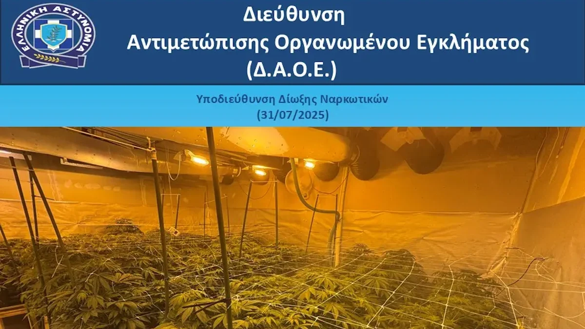 Ναρκωτικά σε μονοκατοικία