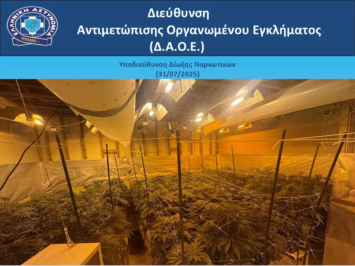 Τα ναρκωτικά