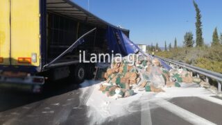 ΦΩΤΟ ilamia