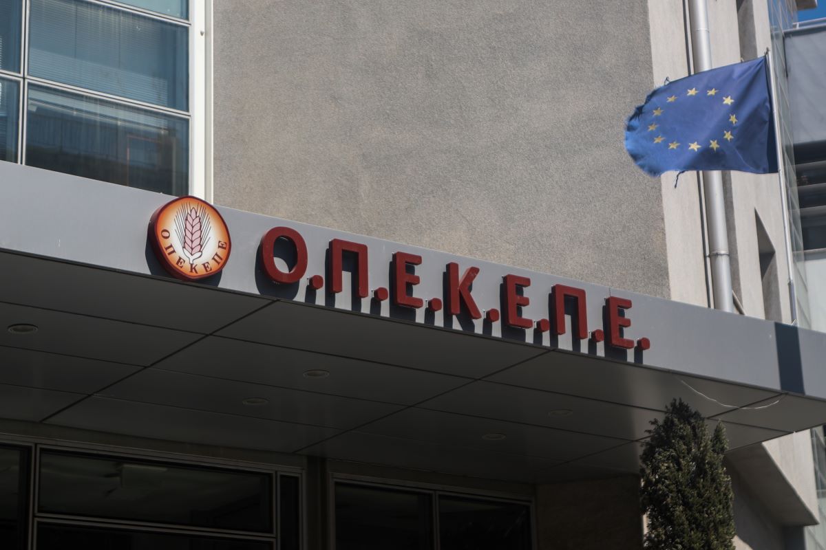 ΣΩΤΗΡΗΣ ΔΗΜΗΤΡΟΠΟΥΛΟΣ