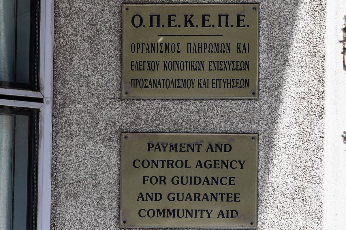 ΣΩΤΗΡΗΣ ΔΗΜΗΤΡΟΠΟΥΛΟΣ