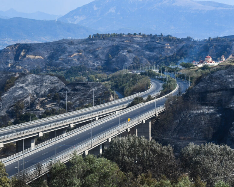 Φωτιά στην Πάτρα: Στάχτη, καμένη γη και απελπισία σε Συχαινά και Κάτω Αχαΐα – Μάχη σε ένα μέτωπο δίνουν οι πυροσβέστες