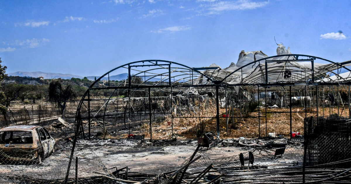 Arson defendants will now be led to prison – changes in criminal code