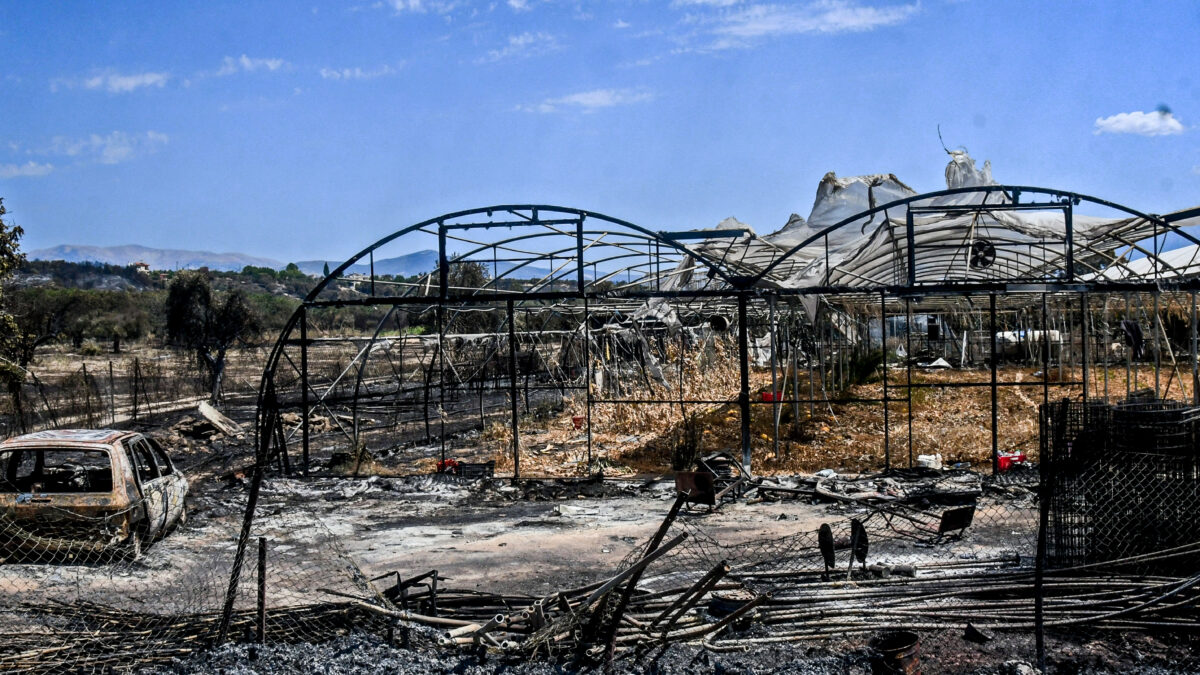 Καμμένα στην Πάτρα