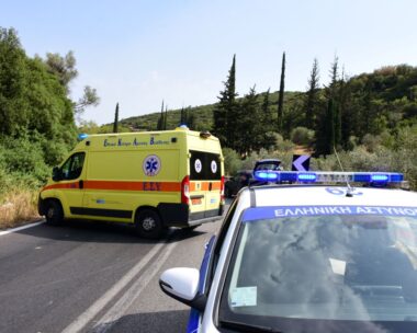 Βασίλης Παπαδόπουλος