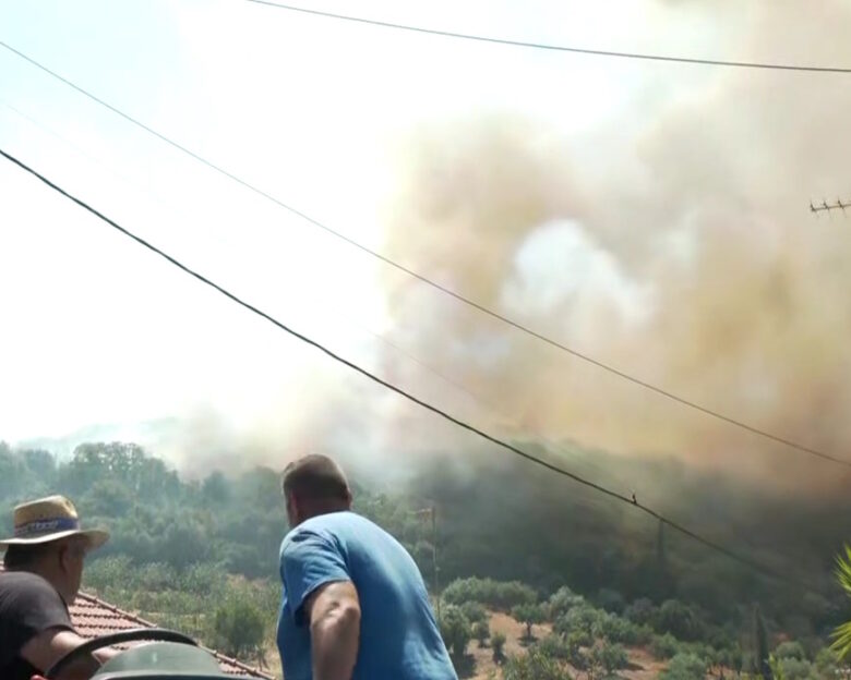 Φωτιά στη Μεσσηνία σε αγροτοδασική έκταση στην περιοχή Πετράλωνα: Μήνυμα του 112 για ετοιμότητα