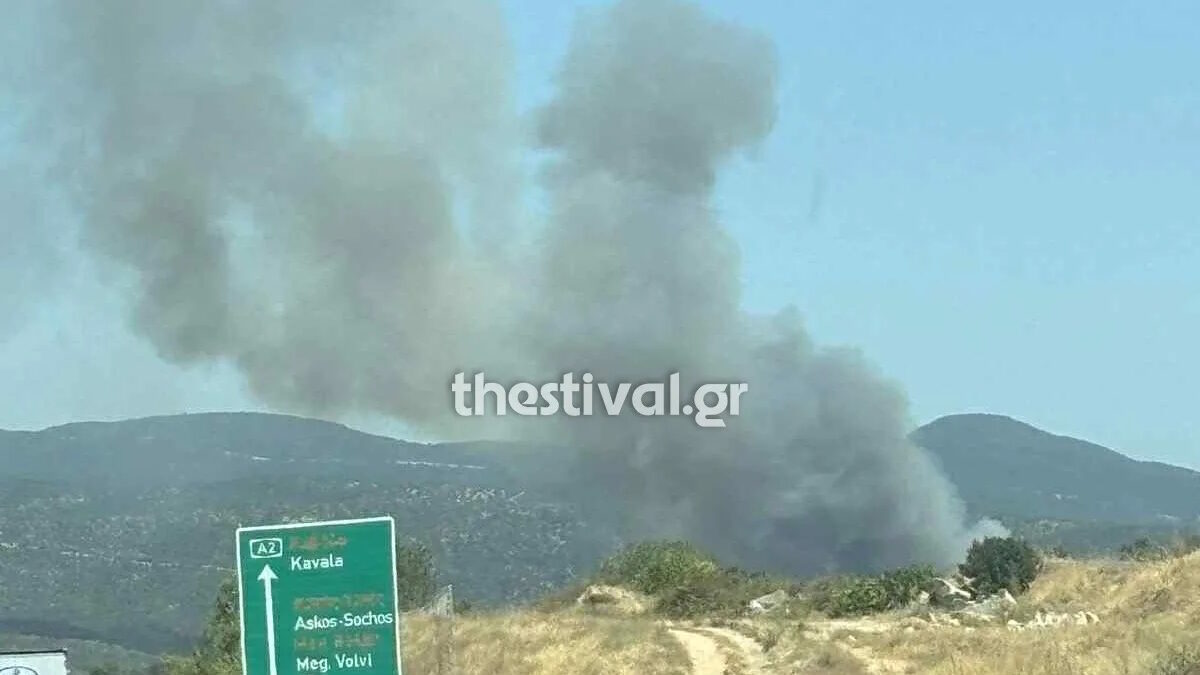 Φωτιά στη Μεγάλη Βόλβη Θεσσαλονίκης