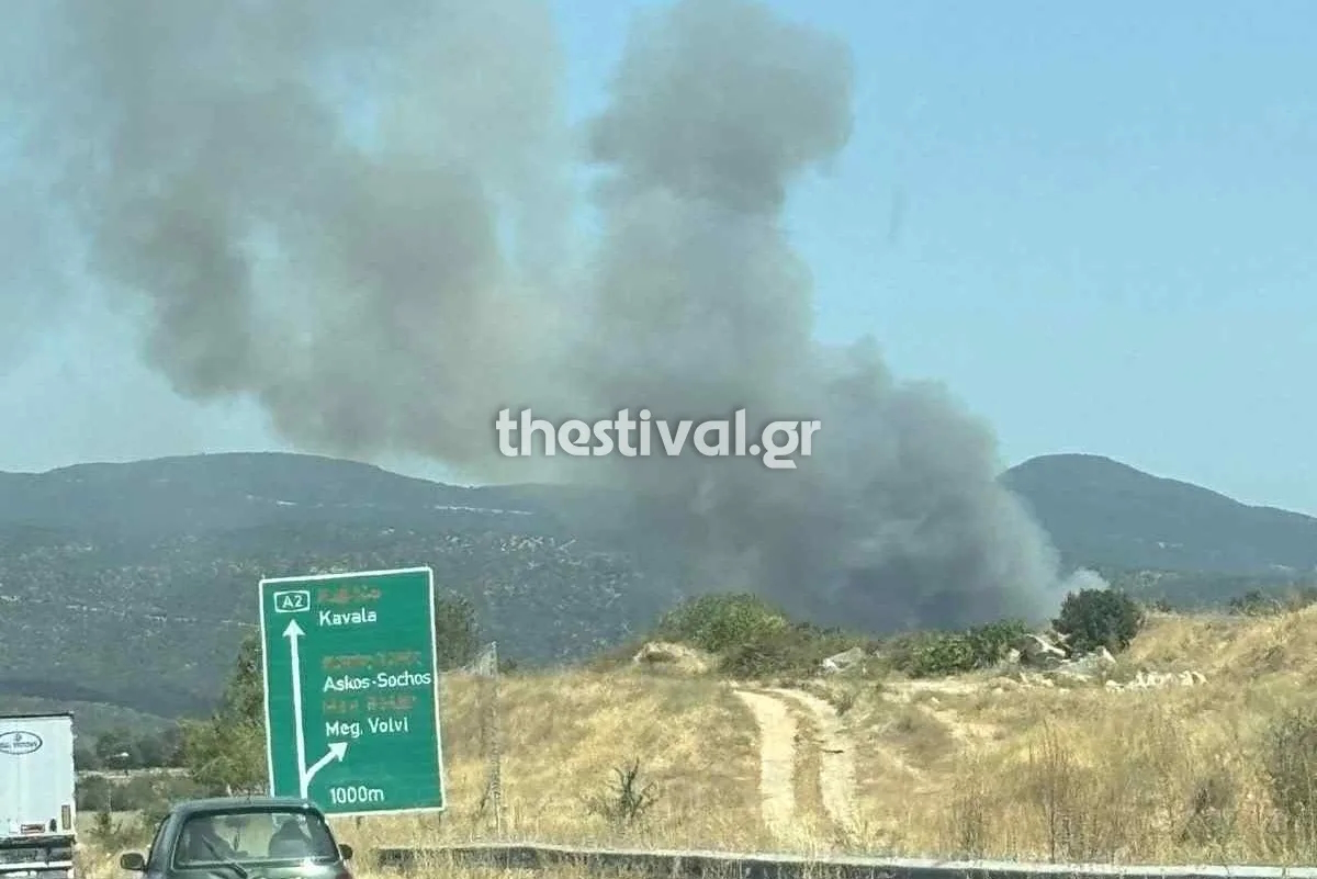 Φωτιά στη Μεγάλη Βόλβη Θεσσαλονίκης