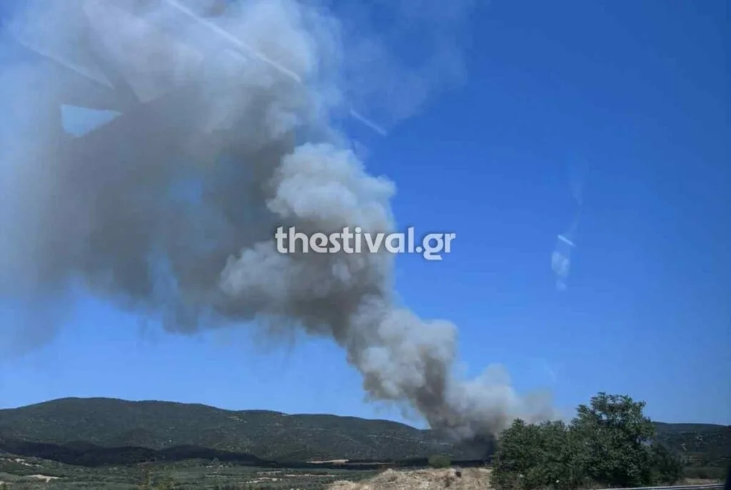 Φωτιά στη Μεγάλη Βόλβη Θεσσαλονίκης