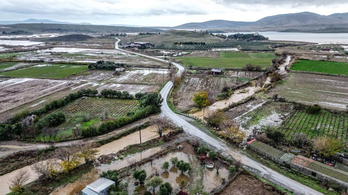 ΠΑΝΑΓΙΩΤΗΣ ΜΠΑΛΑΣΚΑΣ