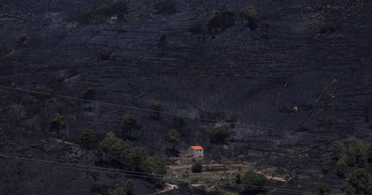 Fires in Portugal: Ashes were made 600,000 acres – 1,600 firefighters in battle