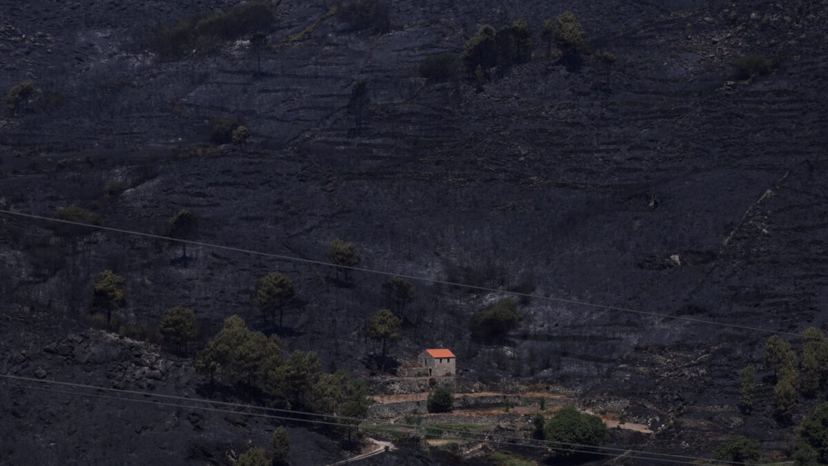 Καμένες εκτάσεις στην Πορτογαλία