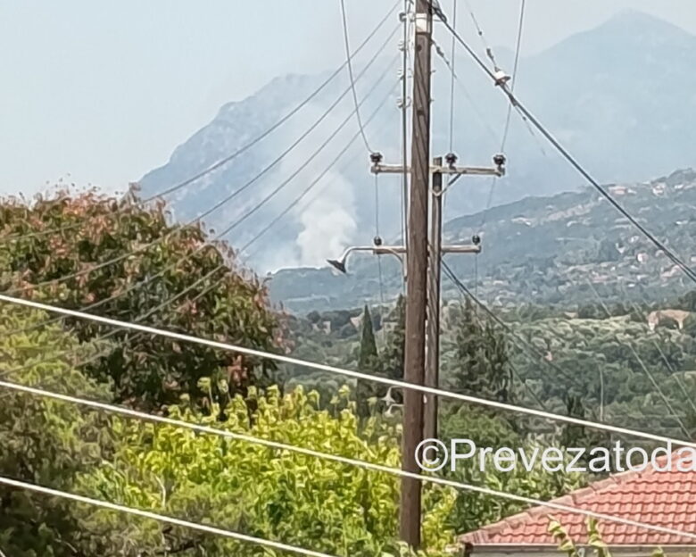 Φωτιά στην Πρέβεζα στην περιοχή Βρυσούλα: Μπαράζ μηνυμάτων από το 112 – «Απομακρυνθείτε προς Κρανέα»