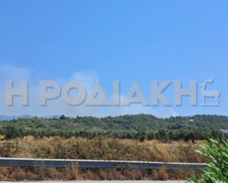 Φωτιά στη Ρόδο ανάμεσα σε Θολό και Σορωνή: Η φωτιά καίει κοντά στην κοιλάδα με τις πεταλούδες