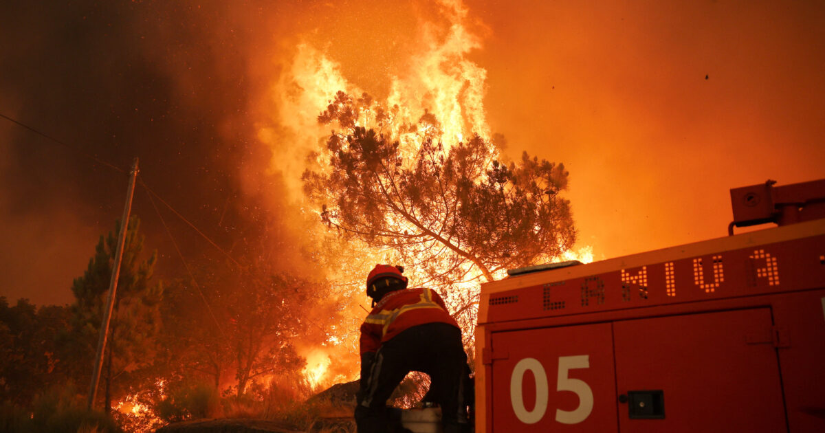 Fires in Europe: A record with more than 10 million acres burned in 2025