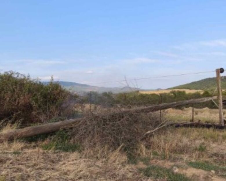 Τρίκαλα: Οι ισχυροί άνεμοι έσπασαν στύλους ηλεκτροδότησης στα Χάσια – Δείτε εικόνες