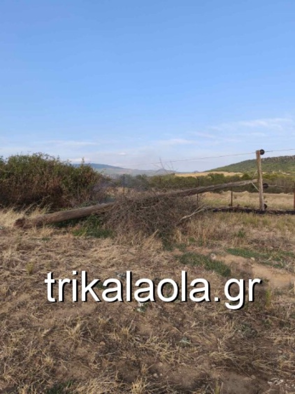 Πεσμένοι στύλοι