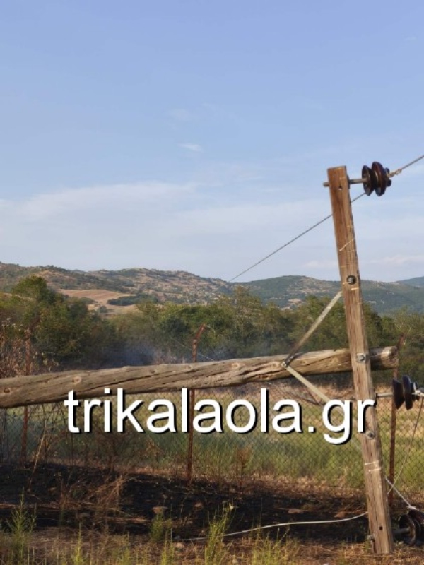 Πεσμένοι στύλοι