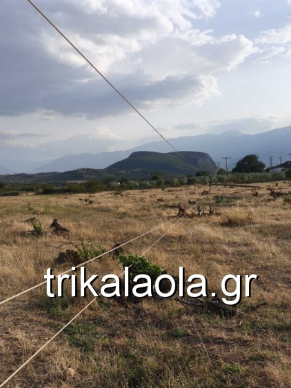 Πεσμένοι στύλοι