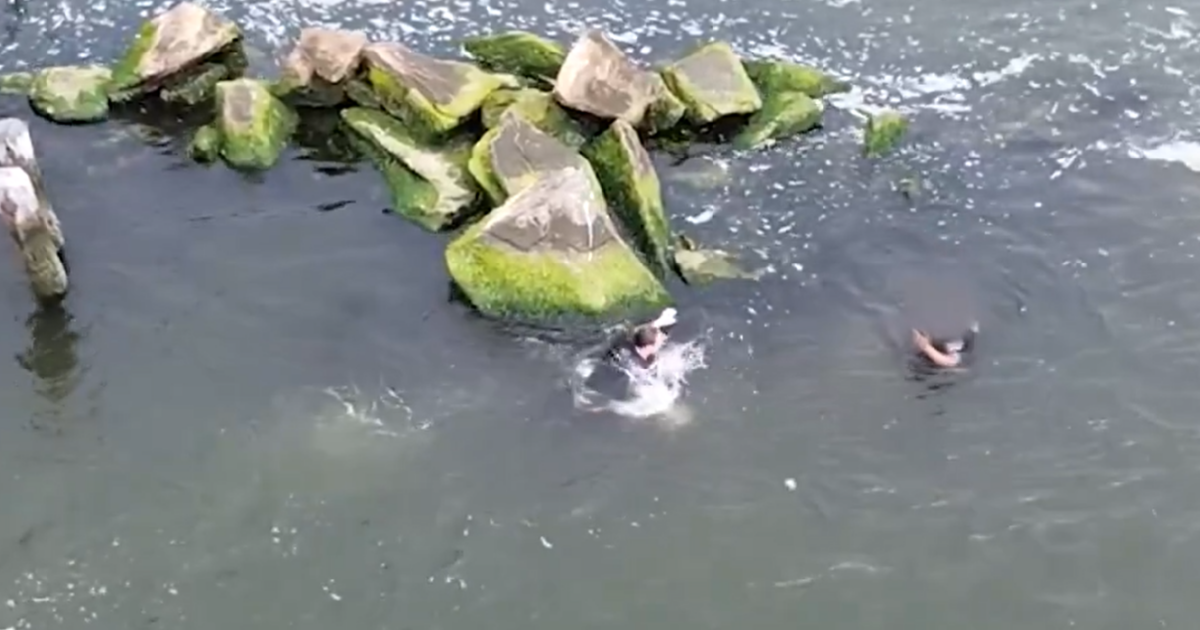New York: Car Thief fell into the sea to avoid arrest – tried to drown a police officer