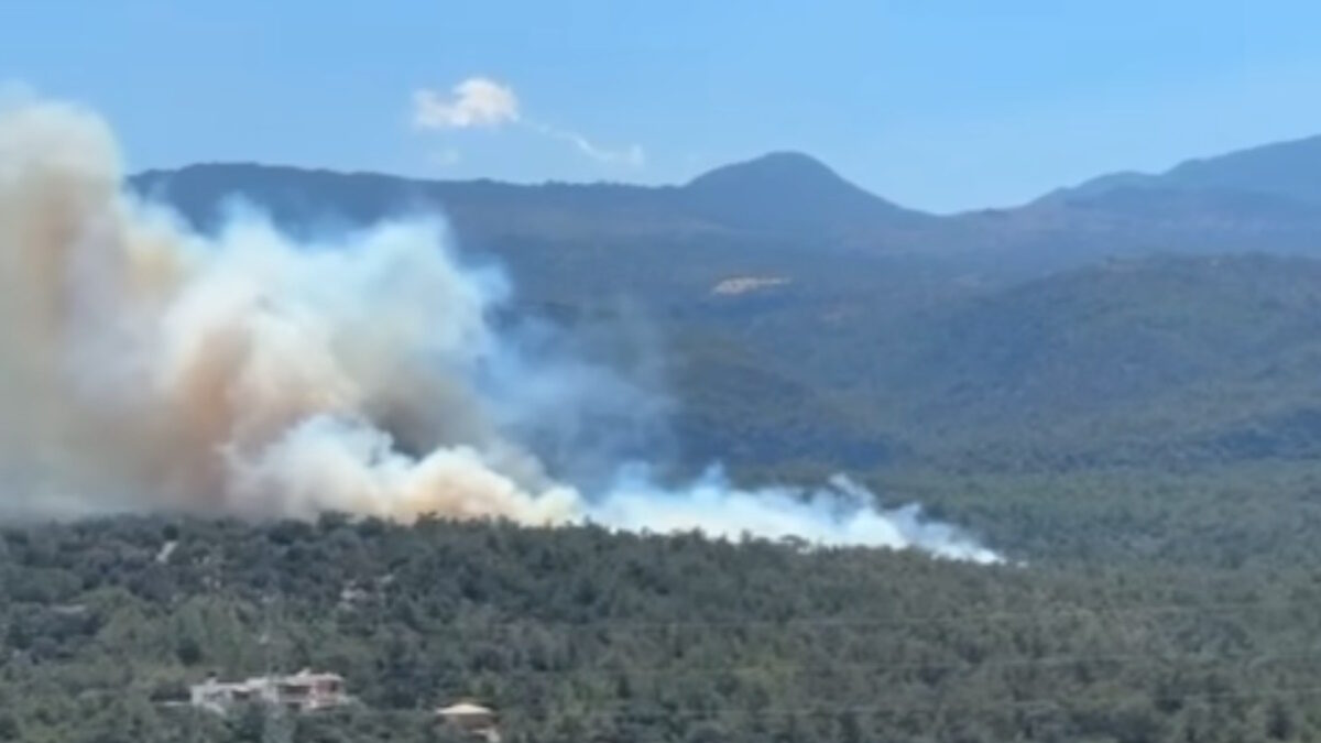 Η φωτιά στον Άγιο Νικόλαο