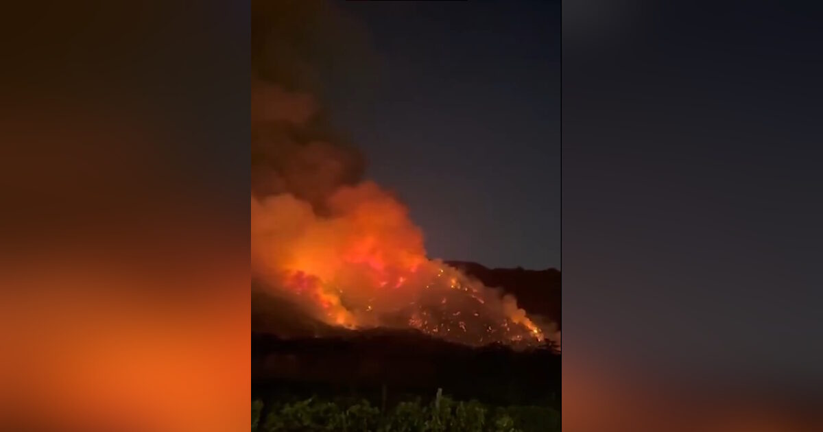 Italy: Great Fire in Vesuvius – Burning National Park