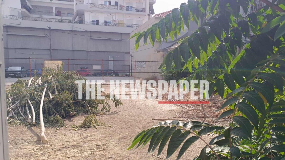 Το οικόπεδο όπου εντοπίστηκε ο 40χρονος δράστης της γυναικοκτονίας