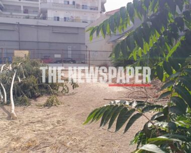 Το οικόπεδο όπου εντοπίστηκε ο 40χρονος δράστης της γυναικοκτονίας