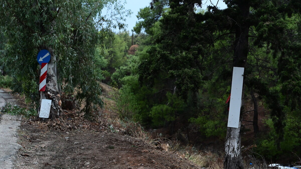ΤΑΤΙΑΝΑ ΜΠΟΛΑΡΗ