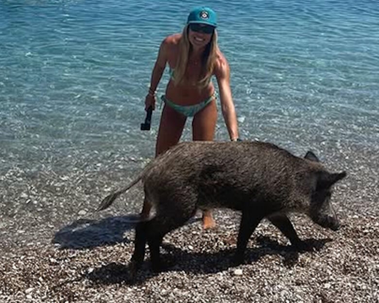 Μαριέττα Χρουσαλά: Μπάνιο με γουρούνια σε θάλασσα του Ιονίου – «Μία από τις πιο μοναδικές εμπειρίες» έγραψε