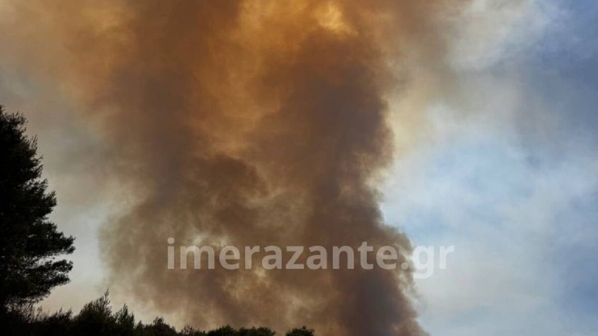 ΦΩΤΟ imerazante