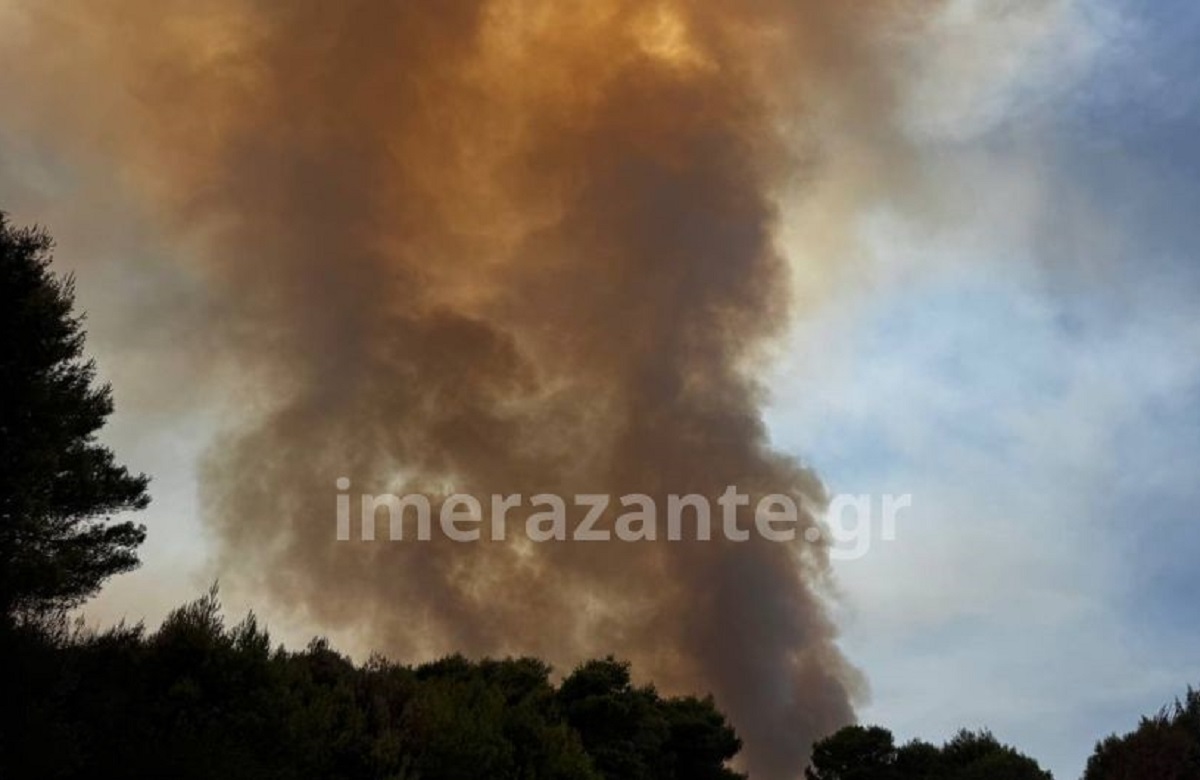 ΦΩΤΟ imerazante