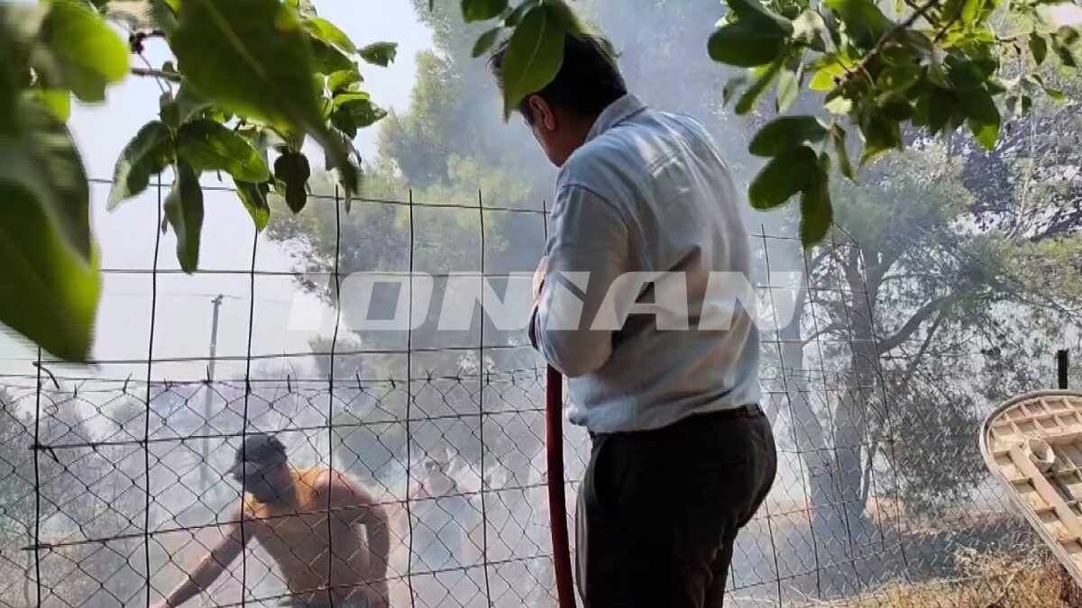 Πηγή: Ionian News