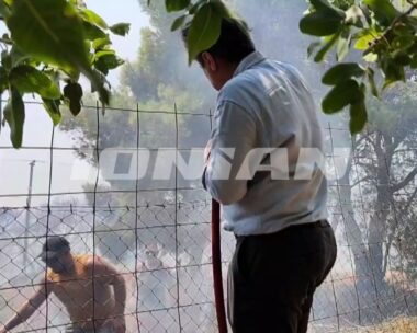 Πηγή: Ionian News