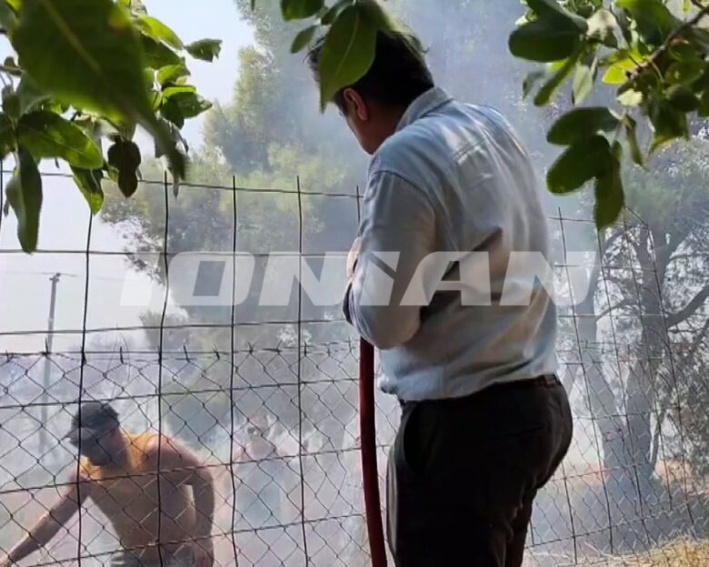 Φωτιά στην Ζάκυνθο: Bίντεο με τον δήμαρχο να σβήνει φωτιά σε αυλή σπιτιού στον Αγαλά