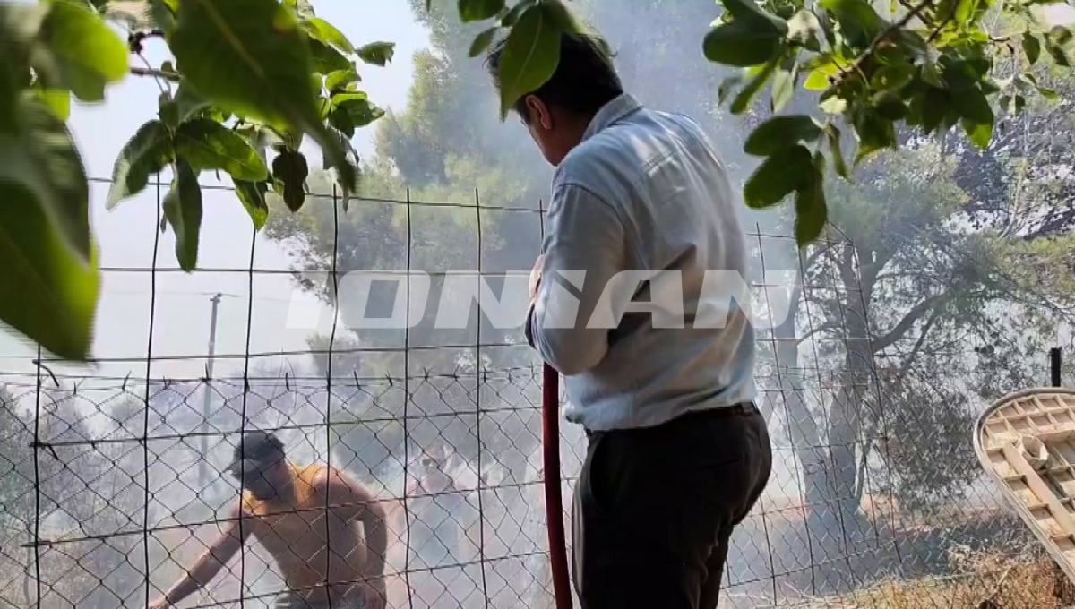 Πηγή: Ionian News