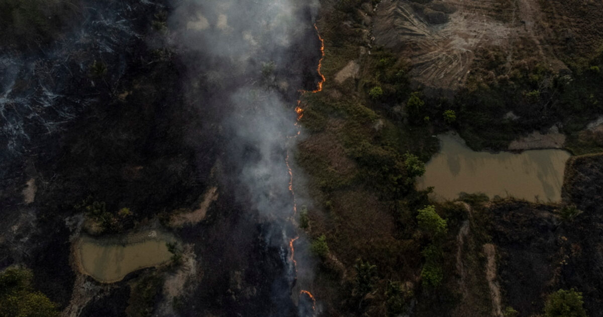 Amazon: Earth’s lung dies day by day in Brazil – land equal to Spain was destroyed in 40 years