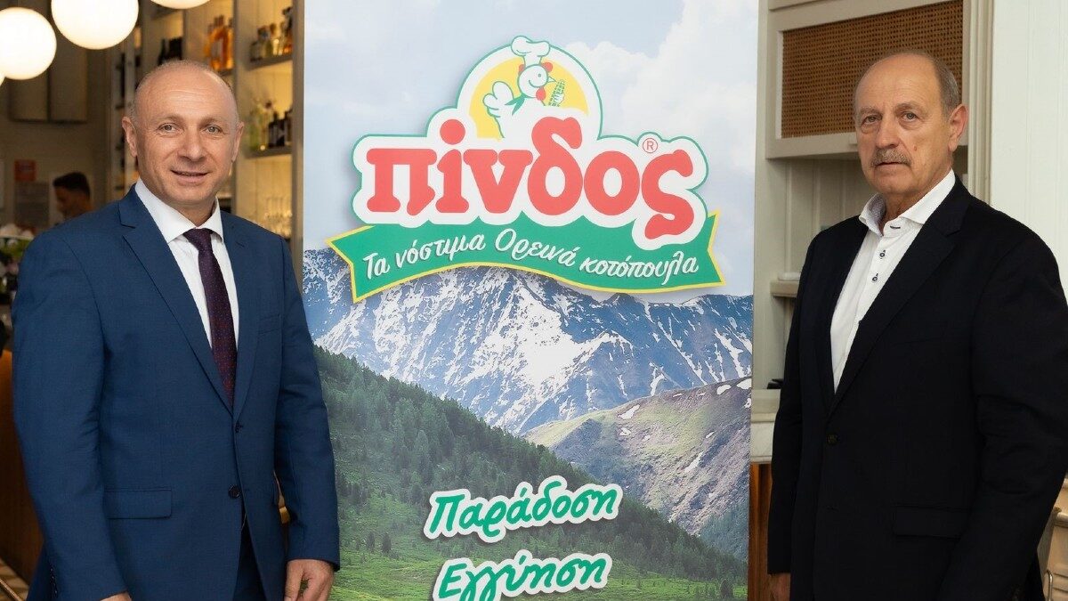 Πίνδος