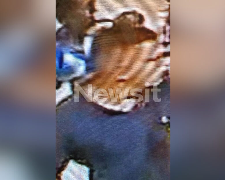 Ποιος είναι ο 17χρονος που άρπαζε μωρά – Η διαταραχή που έχει και τι είπε ο πατέρας του στην Αστυνομία