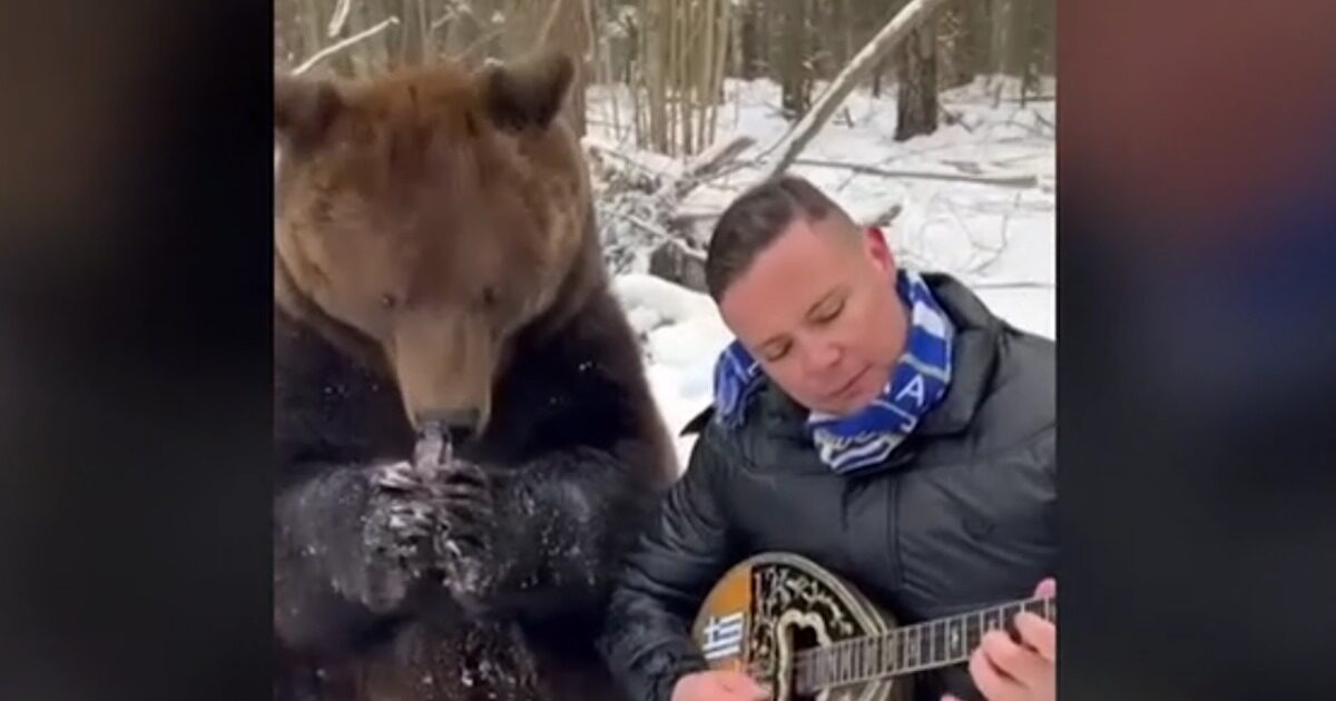 Larissa musician plays a bouzouki hug with a bear and becomes viral
